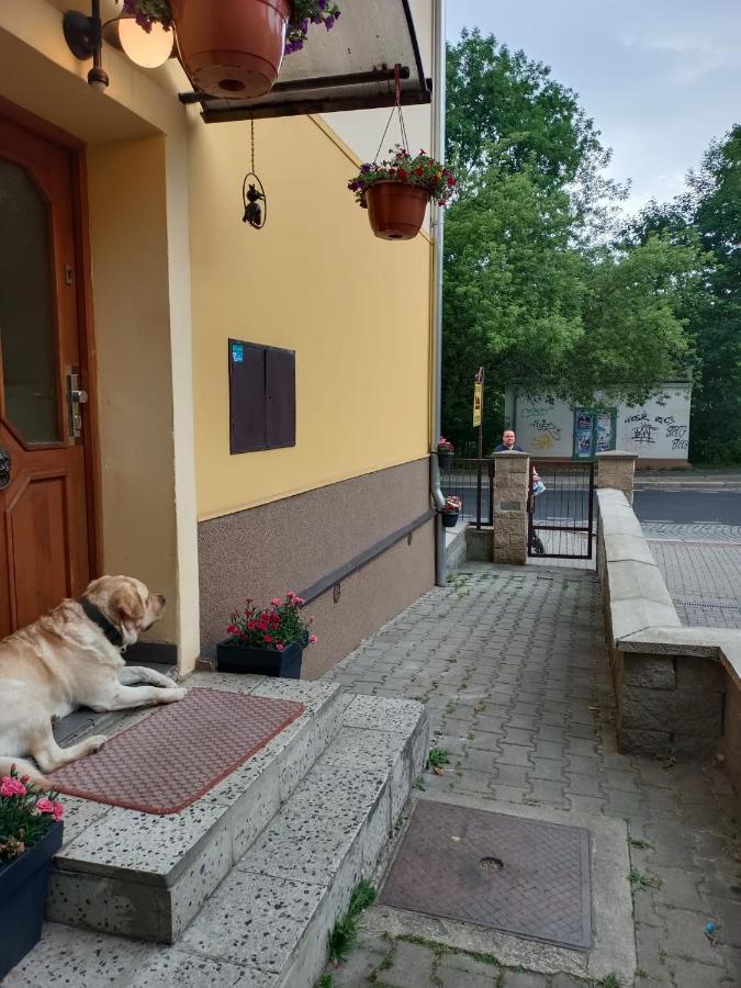 Msprivat Hotel Карлови Вари Екстериор снимка